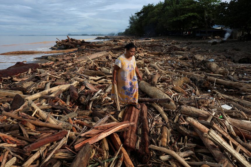 A woman walks among tree trunks that stranded on a shore following deadly flash floods and landslides, in Padang, West Sumatra province, Indonesia, on November 30, 2025.