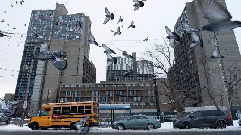 Anxiety grips Somali community in Minneapolis as ICE agents zero in on the Twin Cities