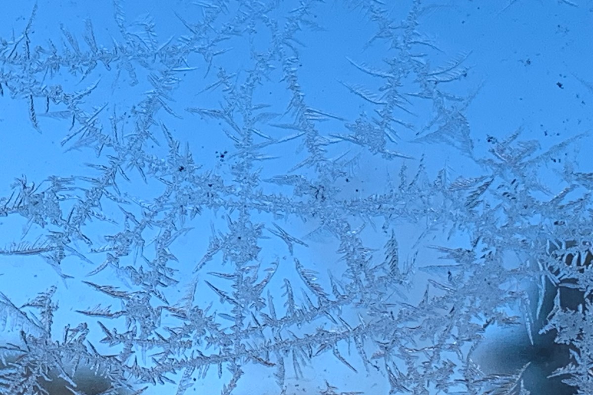 Good morning, North Bay! Here's today's weather!