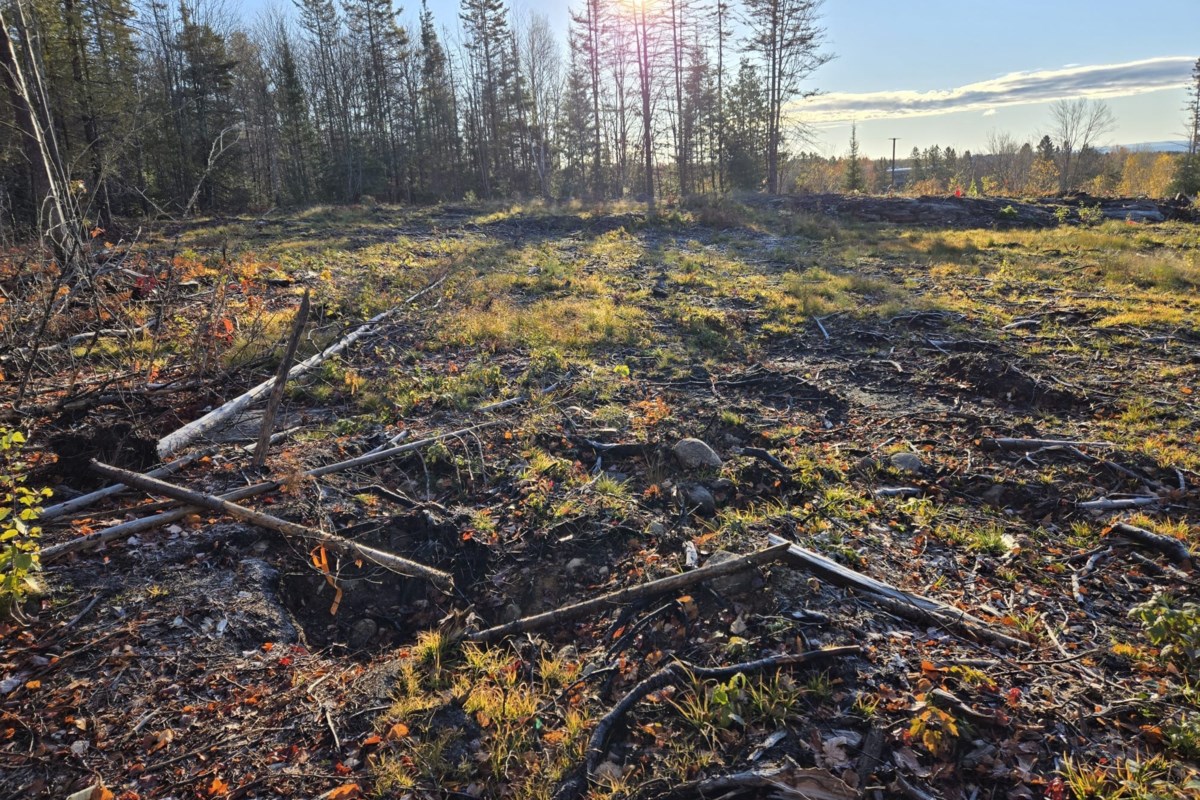 LETTER: Canadore College under fire for secretive planning of long-term care facility
