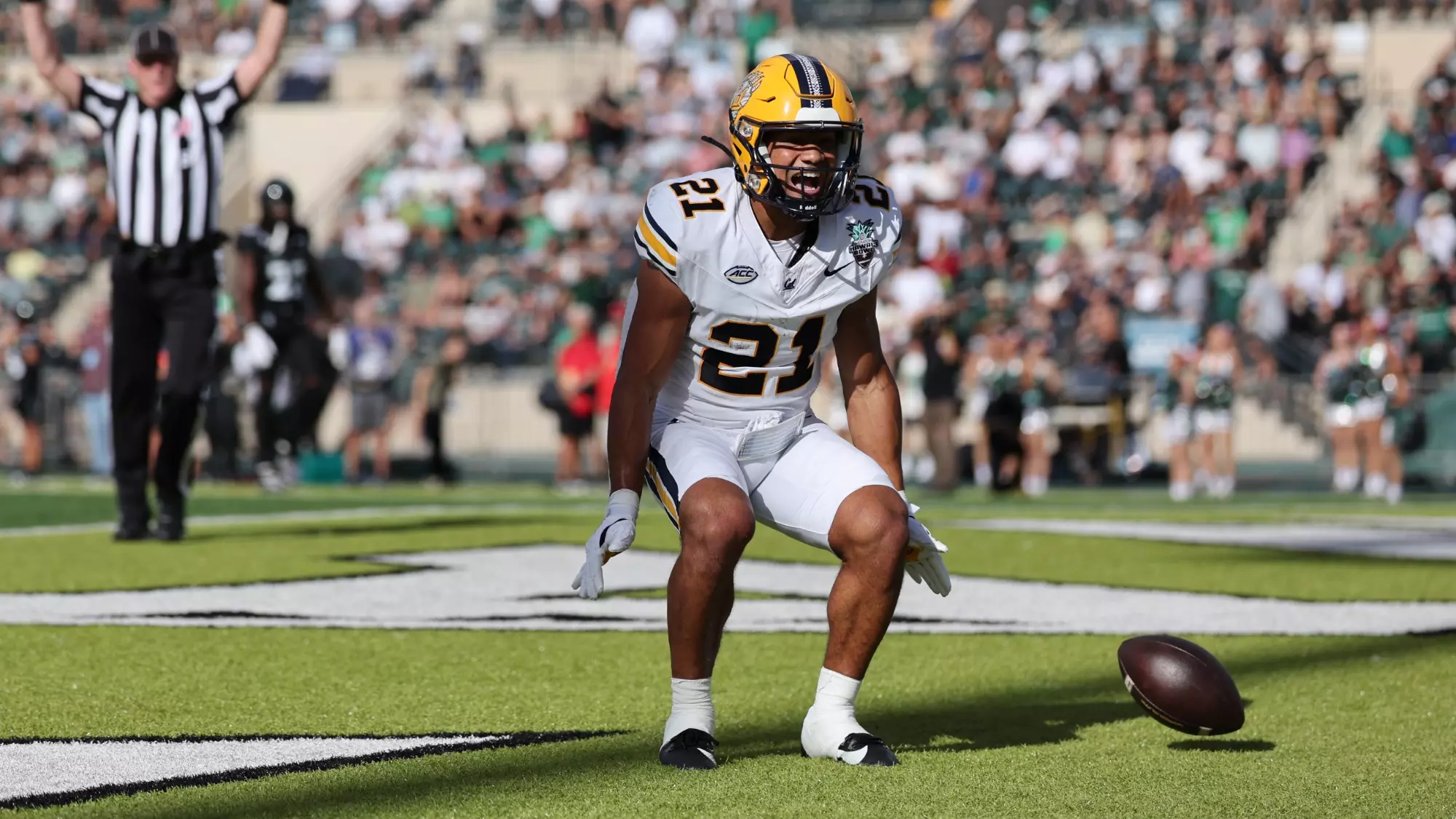 Bears Fall In Sheraton Hawai'i Bowl