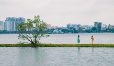 Vietnam's capital records decline in dengue fever cases-Xinhua