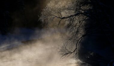 Is Canada set to feel the most ‘extreme cold on earth’? - CTV News