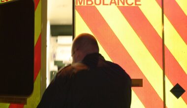 Teenager tasered on M5 by police before being fatally struck by car