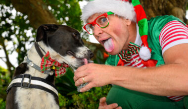 SunLive - Tauranga's circus elf: 'Is it too hot for Spot?'