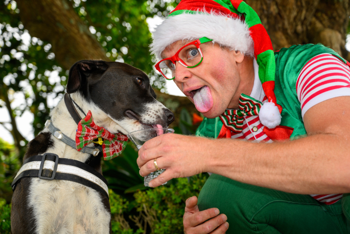 SunLive - Tauranga's circus elf: 'Is it too hot for Spot?'