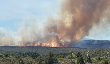 SunLive - Highway closed as crews fight multiple fires