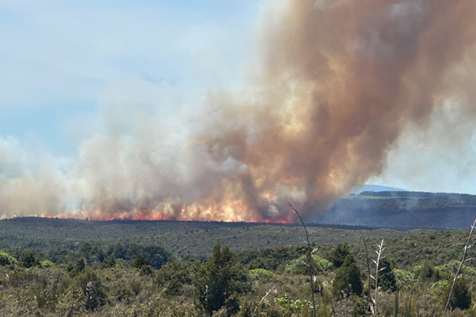 SunLive - Highway closed as crews fight multiple fires