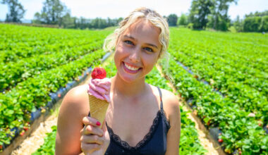 SunLive - Summer happiness is strawberries and roses