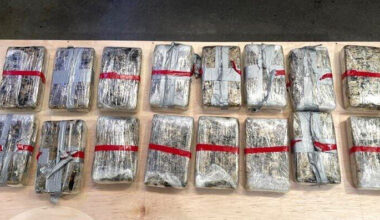 SunLive - Cocaine haul worth $5.6m seized at Tauranga