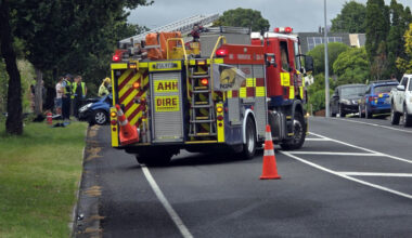 SunLive - Car hits tree on Tauranga road