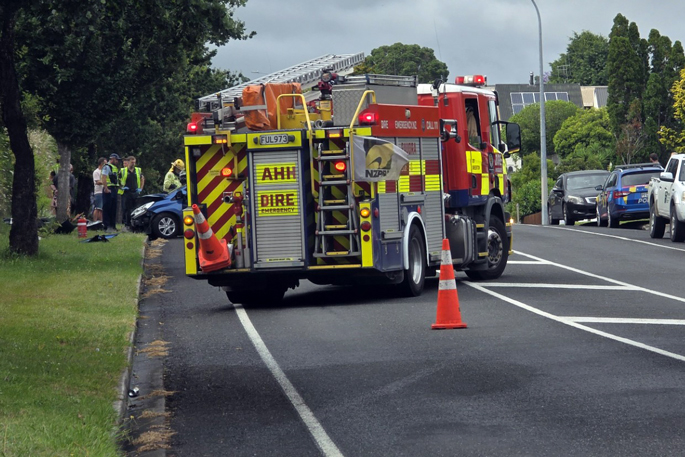 SunLive - Car hits tree on Tauranga road