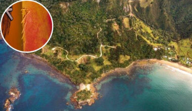 SunLive - Coromandel attack: Kayaker fights off shark