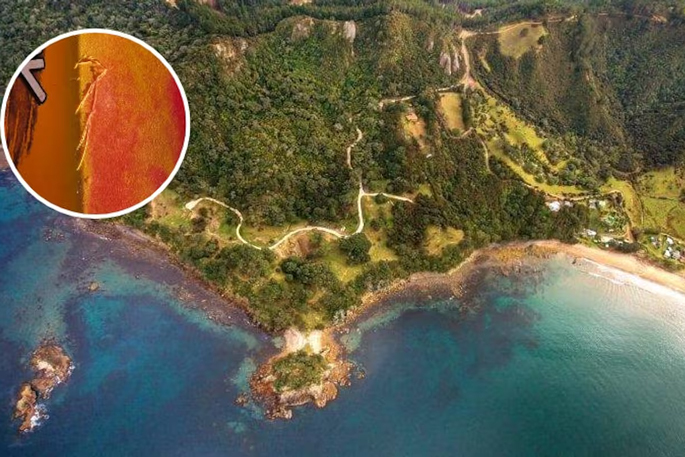 SunLive - Coromandel attack: Kayaker fights off shark