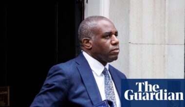 Palestine Action-linked hunger strikers may die without Lammy’s intervention, lawyers say | UK news