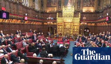 Senior opponents of assisted dying bill urge Lords not to deliberately block it | Assisted dying