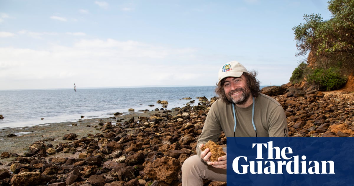 ‘All you need are your eyes’: a stretch of Victorian shore is a magnet for fossil fossickers | Fossils