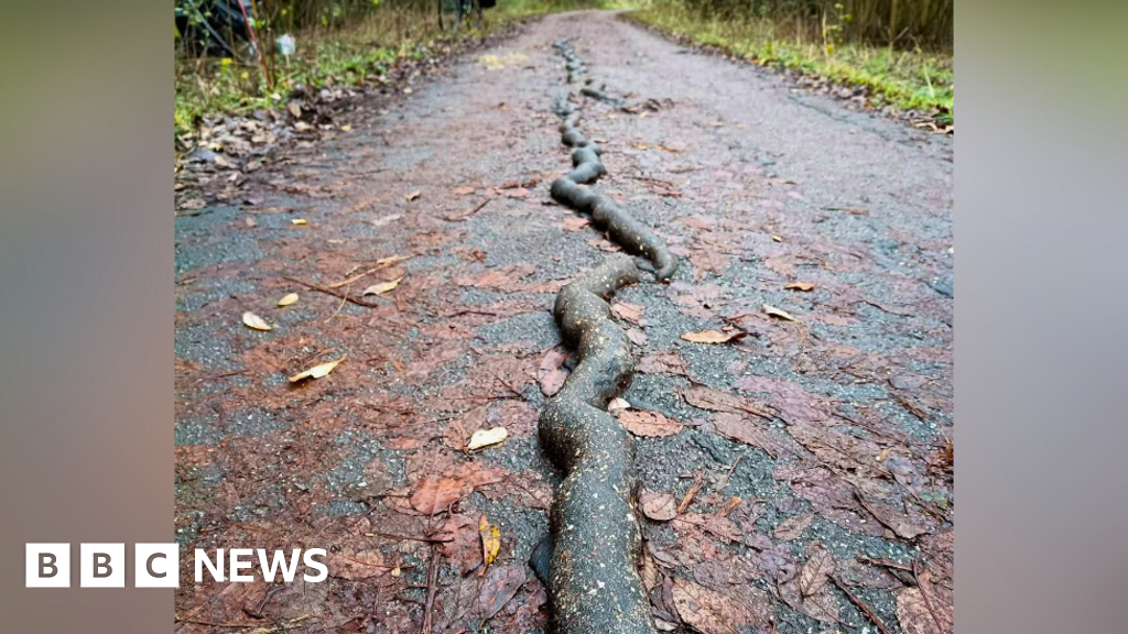 Repairs made as strange "sausage" forms on York bike path