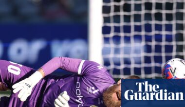 A-League Men players’ patience wearing thin with APL facing suite of issues, union report shows | A-League Men