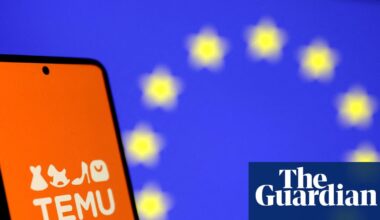 EU watchdogs raid Temu’s Dublin HQ in foreign subsidy investigation | Business