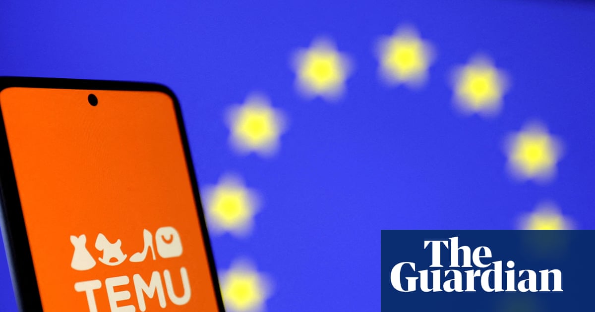 EU watchdogs raid Temu’s Dublin HQ in foreign subsidy investigation | Business