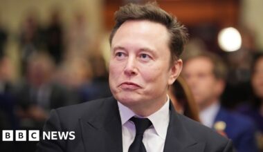 Elon Musk defends visas but says outsourcing firms 'game' the system