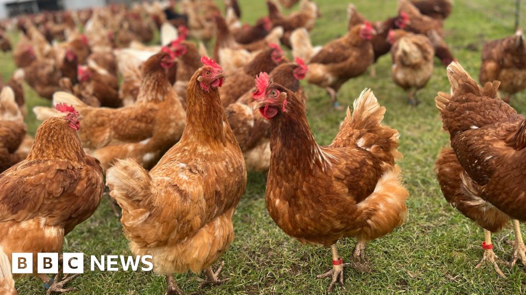 Protection areas in place following bird flu outbreaks