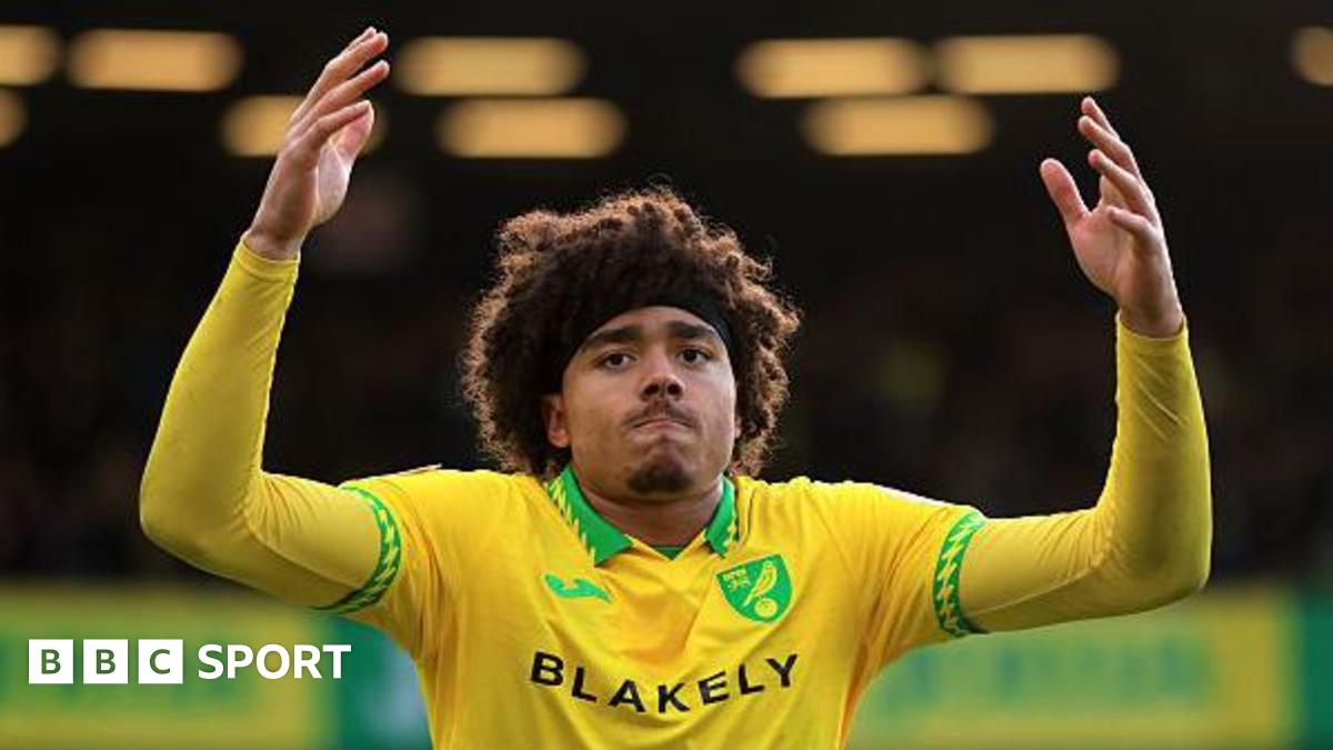 Norwich City 2-1 Southampton: Makama double gives Canaries vital win