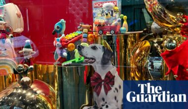 Damn dalmatian! Fury erupts after David Jones cancels Christmas window display to promote joy of … its loyalty program | David Jones