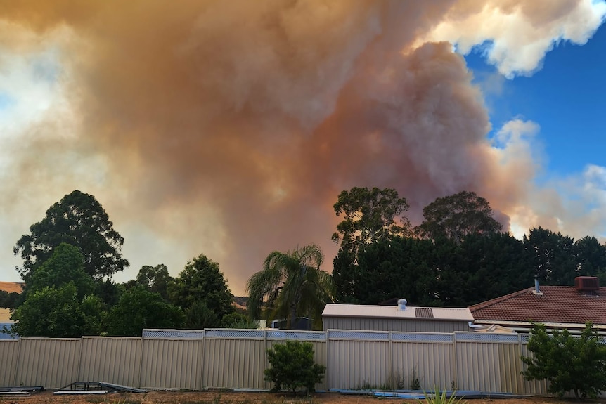 Smoke billows over houses in a rural town