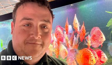 'Fish helped me recover from a car crash and now I sell them'