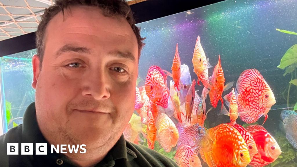 'Fish helped me recover from a car crash and now I sell them'