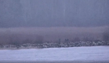 Russian border guards crossed into Estonia with unclear motives, minister says | News