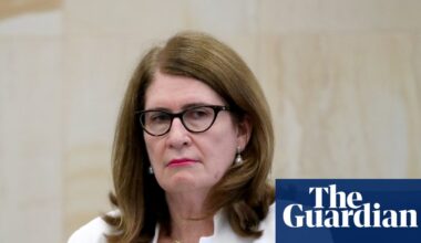 Scathing ‘jobs for mates’ review finds appointments to government boards routinely abused | Australian politics