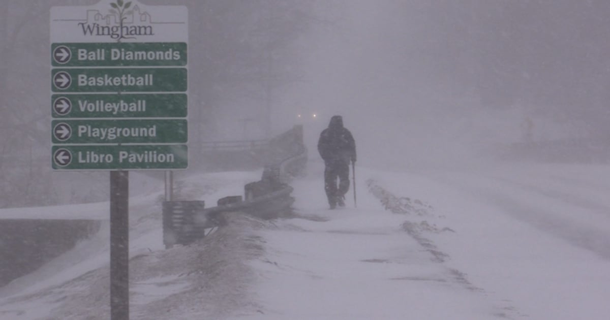 Blizzard conditions across midwestern Ontario - CTV News