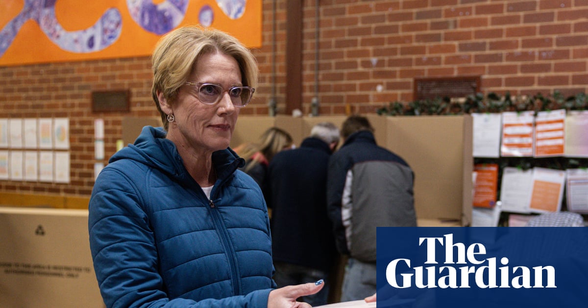 Former independents launch high court challenge to electoral laws they say favour Labor and Coalition | Australian politics