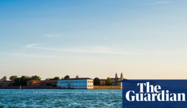 The plants that thrive in salt: could halophytes help save coastal farming? | Climate crisis