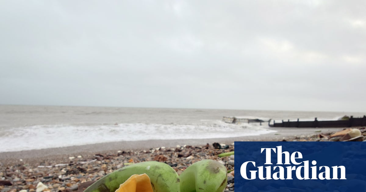 Public urged to stay away after ship containers of bananas wash up in West Sussex | West Sussex