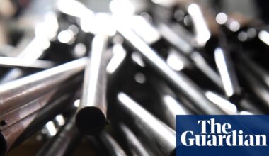 Sydney’s suburbs have a ‘frightening concentration’ of gun ownership, data shows | Gun control