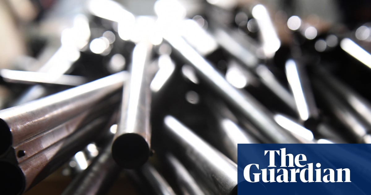 Sydney’s suburbs have a ‘frightening concentration’ of gun ownership, data shows | Gun control