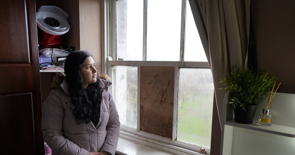 ‘I don’t know where to go with the babies’ – The Irish Times