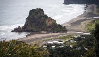 Person dies at Auckland’s Piha Beach after being swept out by waves