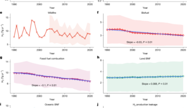The global hydrogen budget | Nature