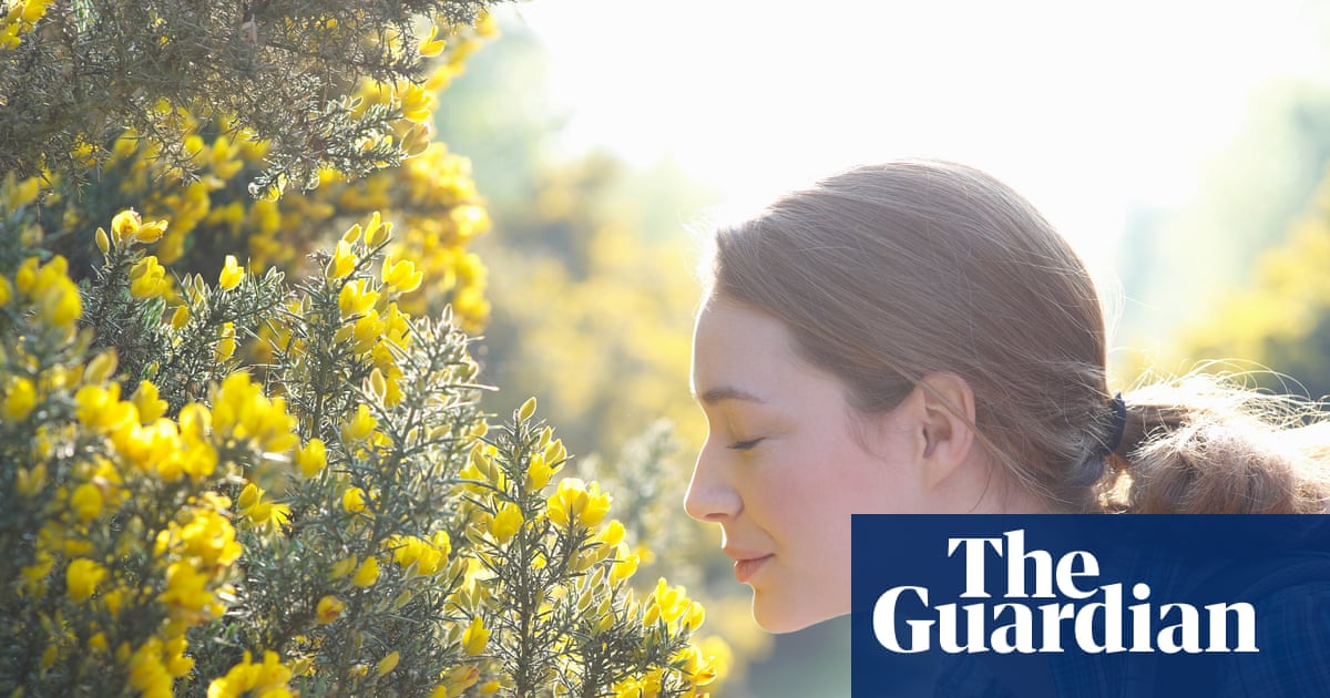 Nosy researcher’s quest to map the world’s ‘smellscapes’ | Science