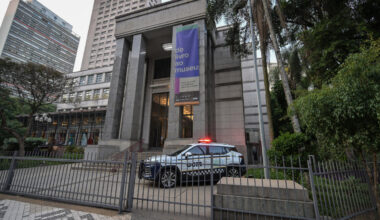 Eight Matisse engravings stolen from Brazil library