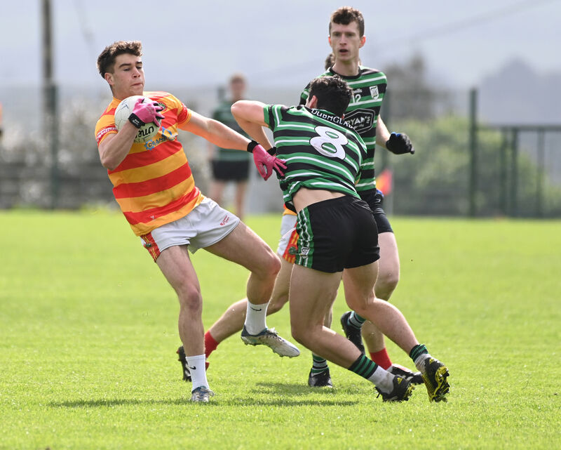 Newcestown's Paul Kelly wins the ball from Douglas' David Buckley. Picture: Eddie O'Hare
