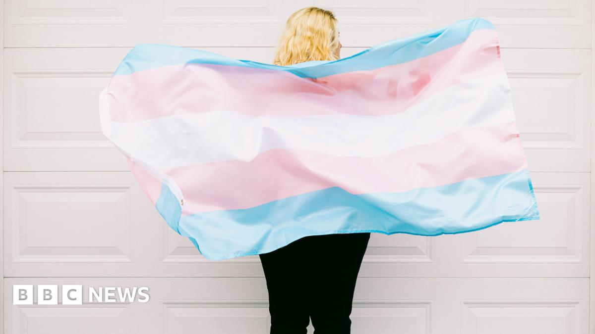 A person holding a transgender flag that is blue white and pink.