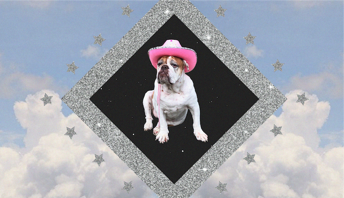 Yahoo lifestyle home