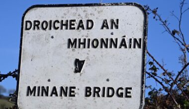 Male actors sought for Cork theatre company's production of The Field