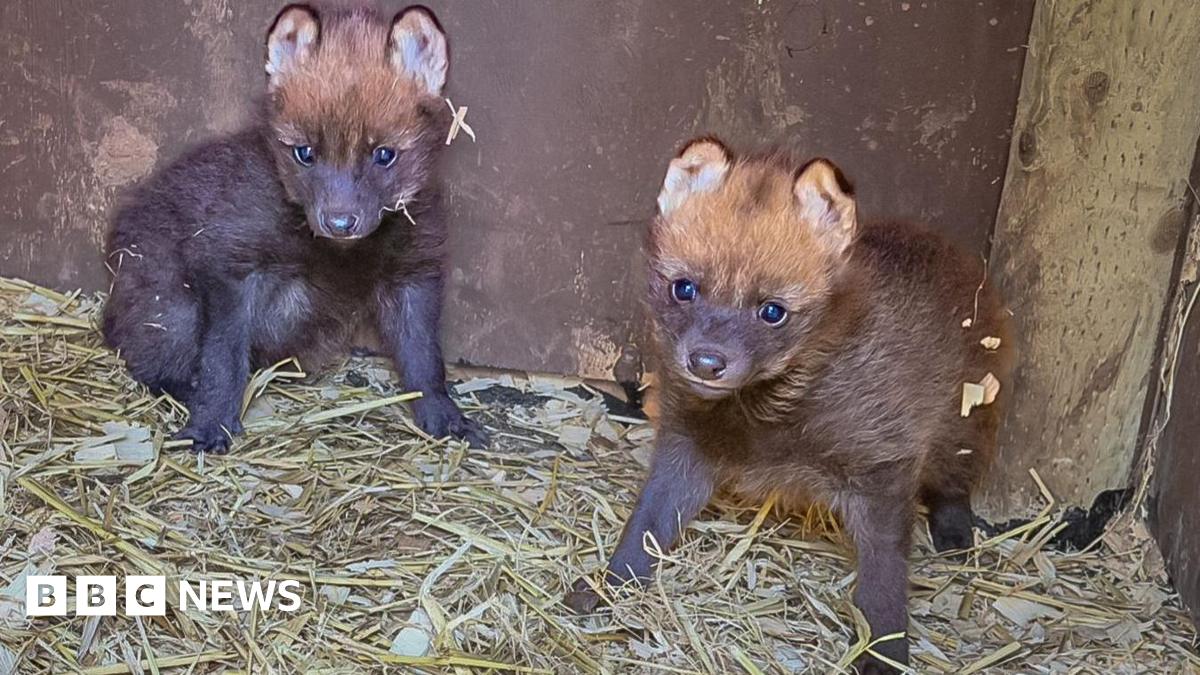 A young man with dark curly brown hair standing by the side of a road. He is wearing a black t-shirt and behind him are yellow crops and blue skies.